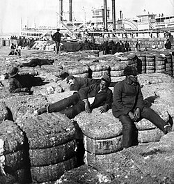 Black and white dockworkers resting on cotton bales