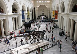 The Field Museum of Natural History