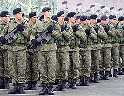The Kosovo Security Force is the military of Kosovo.
