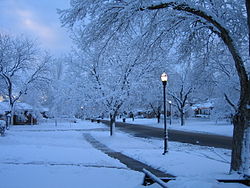Snow in Rose Park, Salt Lake City
