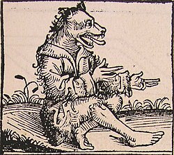 A cynocephalus, or dog-head, as described by Pliny in his Natural History. From the Nuremberg Chronicle (1493).