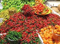 Pepper in Aracaju
