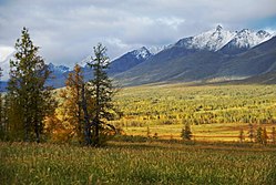 Yugyd Va National Park in the Komi Republic is the largest national park in Europe.[252]