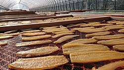 Hoshi-imo, or Japanese dried sweet potatoes, a specialty of Ibaraki Prefecture, drying in Ōarai City
