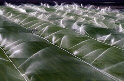 Crop sprinklers near Rio Vista, California, US