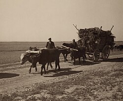 Assyrian refugees travelling to Khabur after escaping the Simele massacre