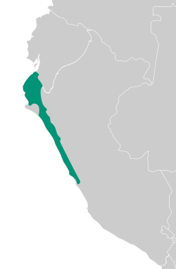 Map of the area of control and influence of the Chimor culture.