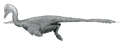 Halszkaraptor, a halszkaraptorine