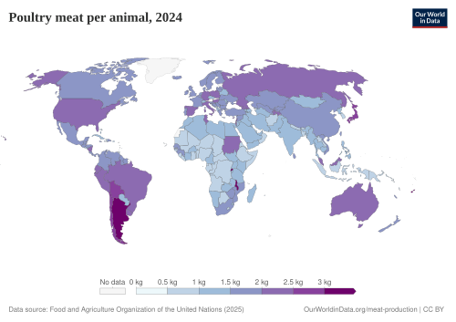 Poultry yields meat per animal