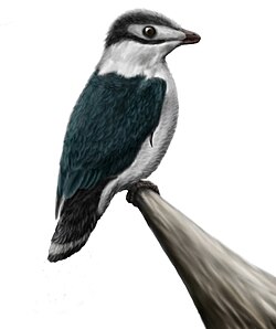 Reconstruction of Iberomesornis romerali, a toothed enantiornithine
