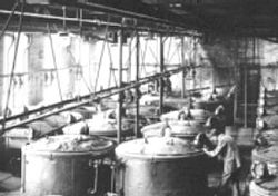 Indigo production at BASF in 1890