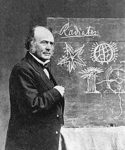 Agassiz in 1870