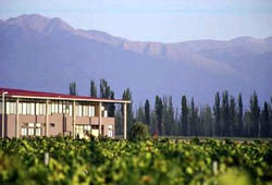 The Tapiz Winery, located in Mendoza.