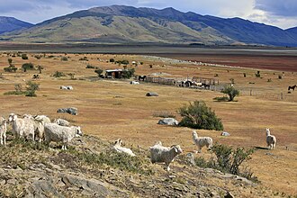 An estancia in Argentine Patagonia near the Andes.