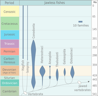 Evolution of jawless fishes. The diagram is based on Michael Benton, 2005.[17]