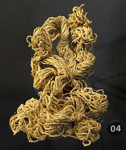 Spun yucca-fiber cordage, c. 900 CE – c. 1100 CE, Kayenta Anasazi, Twin Cave House, Arizona
