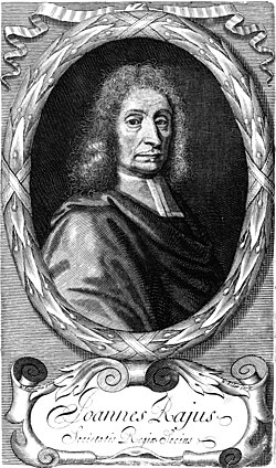 Woodcut (1693)
