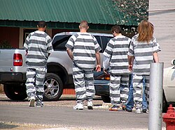 American prisoner "chain gang" labourers, 2006. Notice the shackles on the feet of the prisoners.