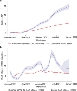 Global excess and reported COVID-19 deaths and deaths per 100,000, according to the WHO study[67]