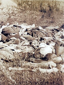 Paraguayan corpses after the Battle of Boquerón, July 1866 (Bate & Co. W., albumen print, 11 x 18 cm, 1866; Museo Mitre, Buenos Aires)