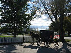 Indiana is home to the third largest population of Amish in the U.S.[167]