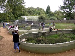Enclosures at the New Forest Reptile Centre