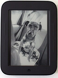 In 2011 Barnes & Noble released its first touchscreen e-reader, the Nook Simple Touch.