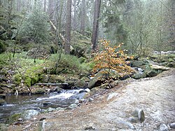 Wyming Brook in Sheffield, UK
