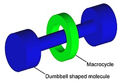 Graphical representation of a rotaxane, useful as a molecular switch