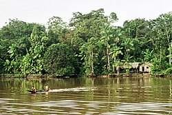 Amazonas state