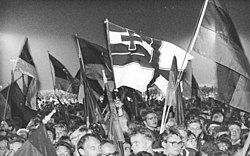 Homemade Reichskriegsfahne at German reunification celebrations in 1990