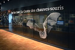 The entrance to the Royal Ontario Museum Bat Cave, an interactive gallery at the museum