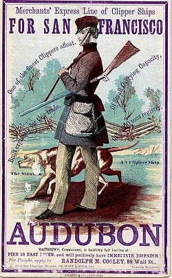 Clipper ship Audubon