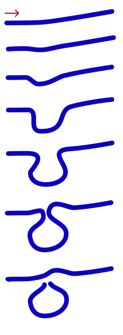 Life history of a meander