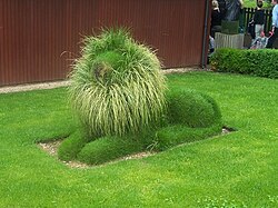 Lion grass sculpture