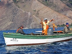 A fisherman with two spiny lobsters off Robinson Crusoe Island