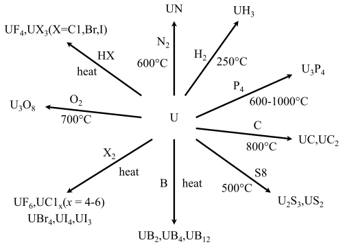 Reactions of uranium metal
