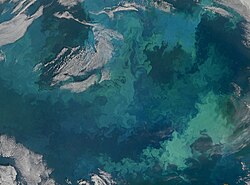 Phytoplankton bloom in the Barents Sea