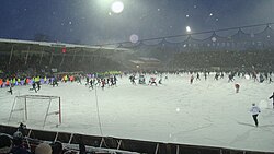 Scenes after Hammarby won their first national bandy title in 2010