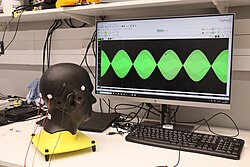 TIS modelled on a bust of the human head – an electric current oscillating at 2010Hz is delivered to the right side of the head and another oscillating at 2000Hz is delivered to the left side. The stimulation target is the right visual cortex, where there is maximal temporal interference between both oscillations; the interfering waveform is visualised on the monitor.
