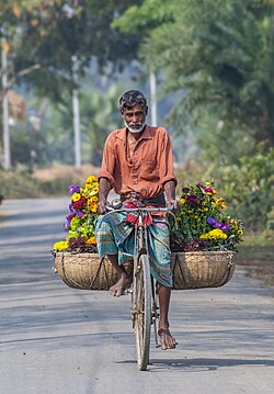 Man on a bicycle with pannier baskets filled with fresh flowers