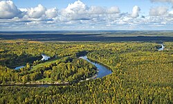 The river Vasyugan in the southern West Siberian Plain