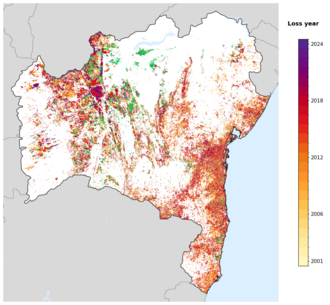 Map of Bahia showing tree-cover loss years, with forest remaining since 2000 in green and loss years shaded yellow through purple.