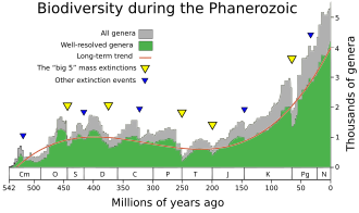 During the Phanerozoic, the biodiversity shows a steady but not monotonic increase from near zero to several thousands of genera.