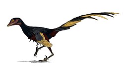Artist's life restoration