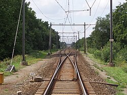 A wye switch on the mainline, leading to a single-track bridge, near Ravenstein, Netherlands
