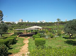 Horsh Beirut – Pine Forest