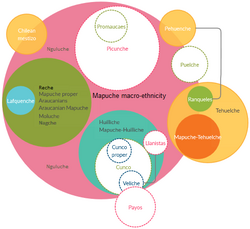 Euler diagram of Mapuche ethnicities. Historical denominations no longer in use are shown with white fields. Groups that adopted Mapuche language and culture or that have partial Mapuche descent are shown in the periphery of the main magenta-colored field.