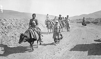 Refugees, some on foot and others riding cattle