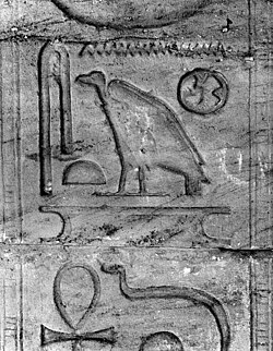 Hieroglyphs at Amada, at temple founded by Tuthmosis III